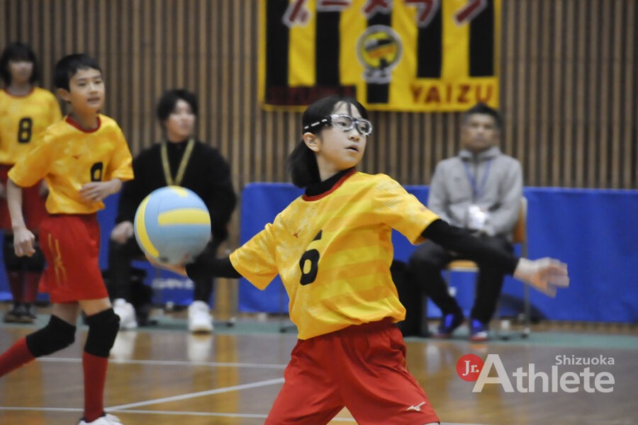 第33回 春の全国小学生ドッジボール選手権 静岡県予選会 | ジュニアアスリート静岡